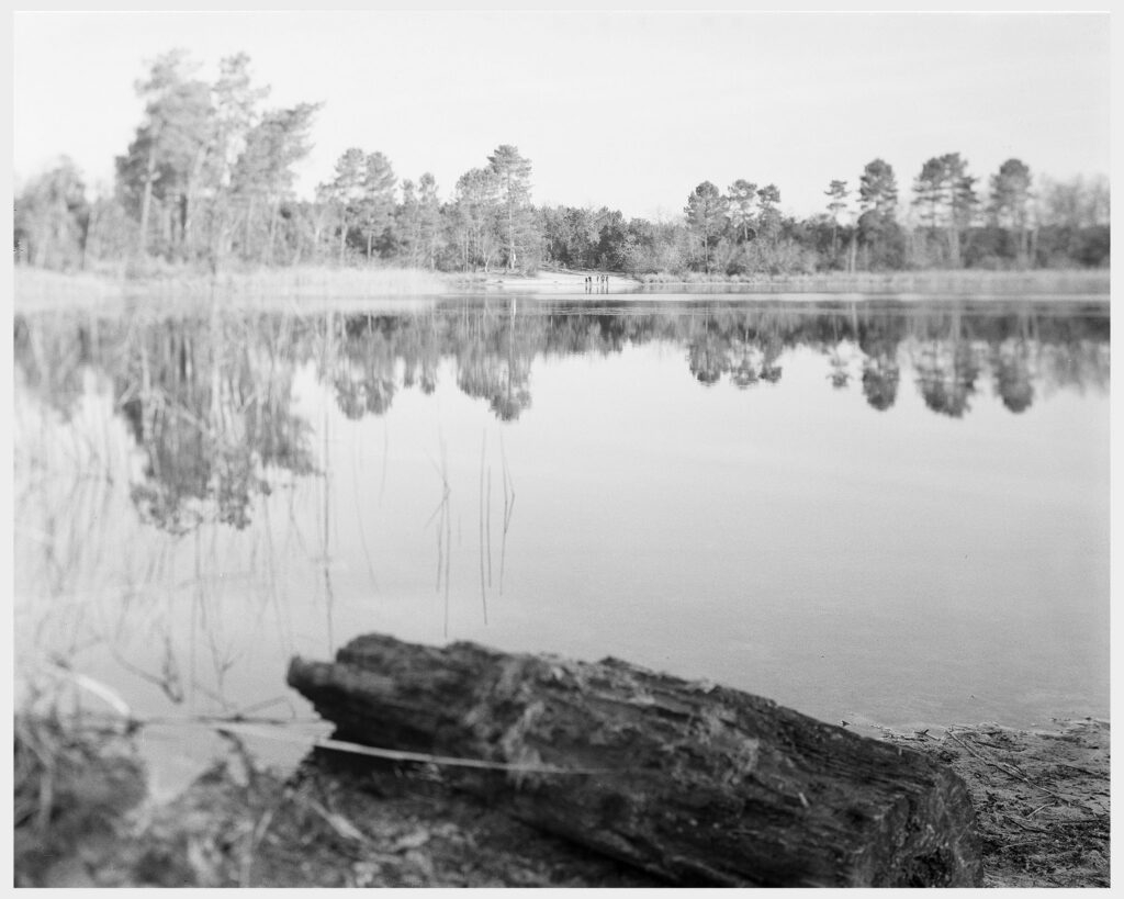 Paysage forestier des Landes de Gascogne bordé d'un lac par une chaude après-midi d'été