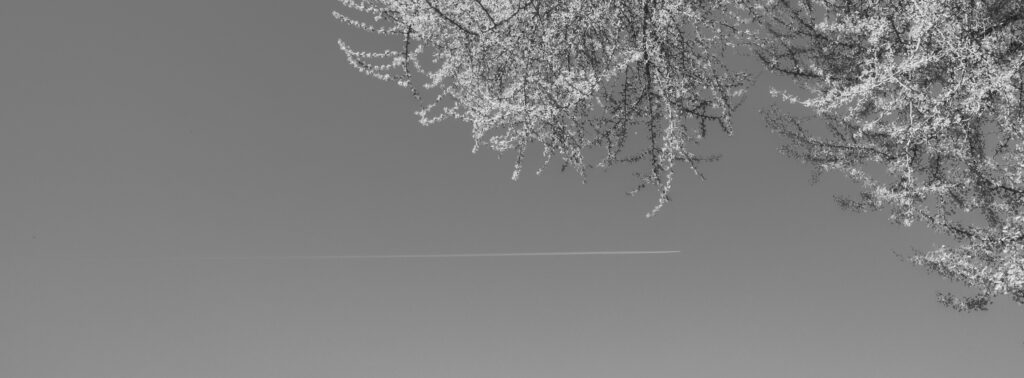 X100VI-040426-14